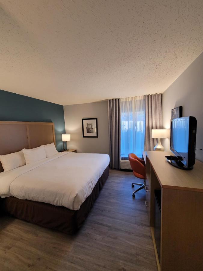 Comfort Inn & Suites Alexandria West Dış mekan fotoğraf